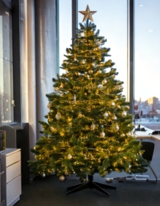 weihnachtsbaum-firmen-frankfurt