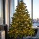 weihnachtsbaum-firmen-frankfurt